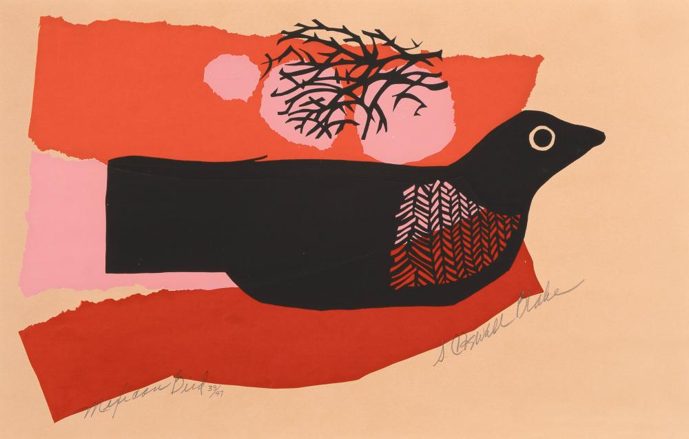 S. BLAKE, MEXICAN BIRDS. Blake, 