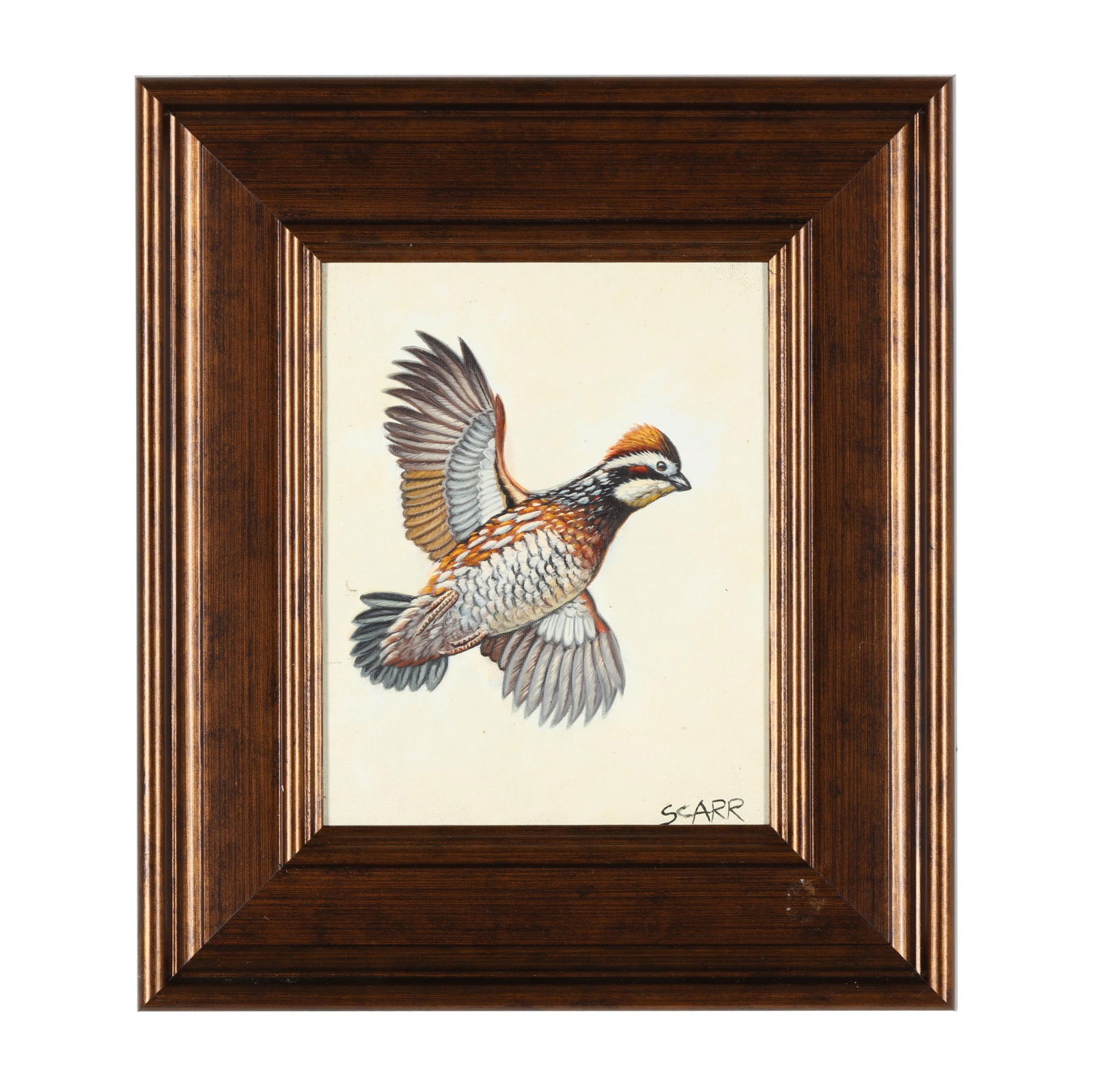 S. CARR (AMERICAN), BOBWHITE