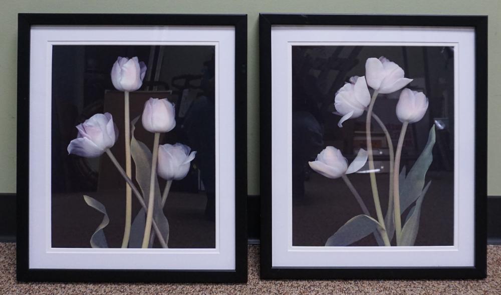 S. G. ROSE, 'SPRING SONG I' AND