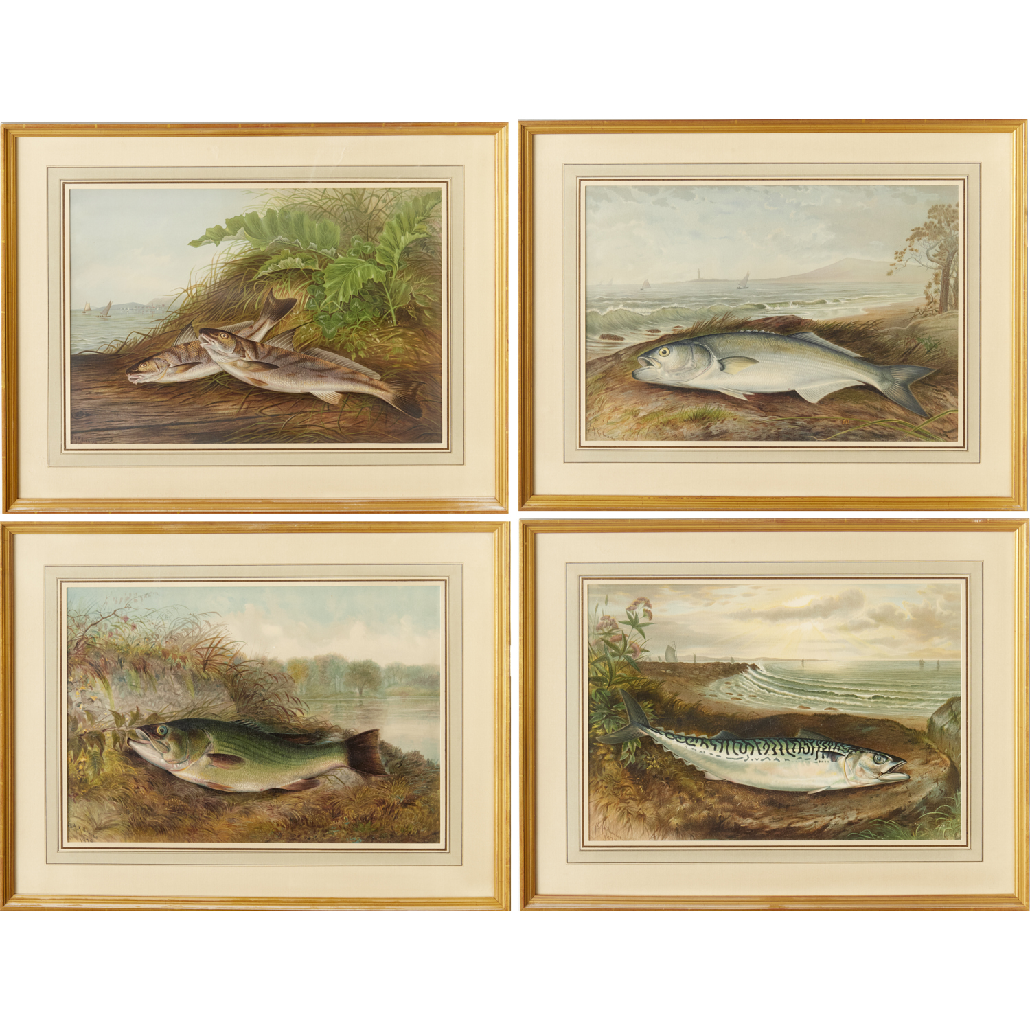 S.A. KILBOURNE, (4) FISH