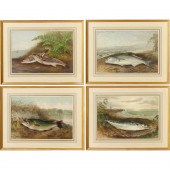 S.A. KILBOURNE, (4) FISH CHROM