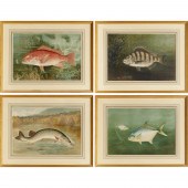 S.A. KILBOURNE, (4) FISH CHROM