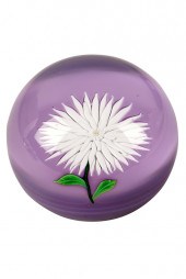 SAINT LOUIS GLASS PAPERWEIGHTs
