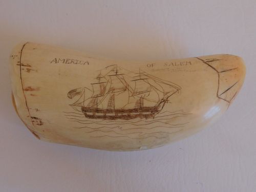 SALEM SHIP WHALE TOOTHScrimshaw