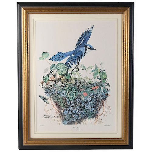 SALLIE ELLINGTON MIDDLETON PRINT,