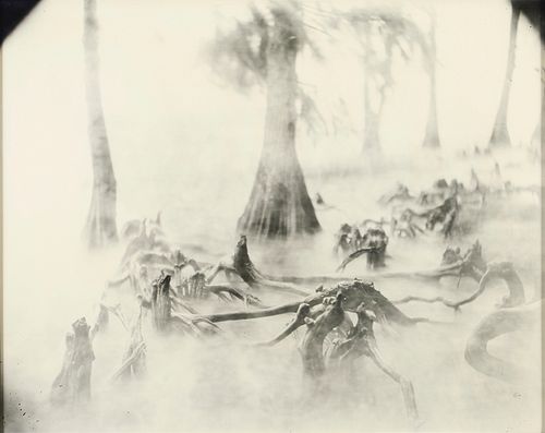 SALLY MANN "UNTITLED/ DEEP SOUTH