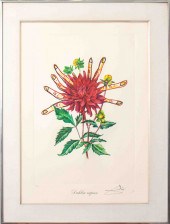 SALVADOR DALI "DAHLIA RAPAX" L
