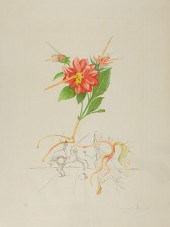 SALVADOR DALI "DAHLIA UNICORNI