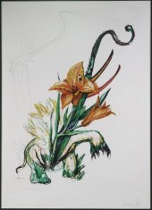SALVADOR DALI, DRYPOINT ETCHIN