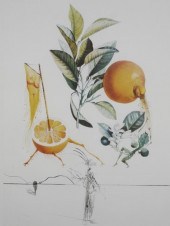 SALVADOR DALI, GRAPEFRUIT, FRU