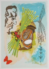 SALVADOR DALI, IVANHOE'S OVERS