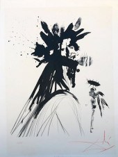 SALVADOR DALI LIMITED EDITION