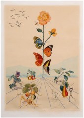 Salvador Dali lithograph (Span