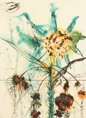 SALVADOR DALI, SUN GODDESS FLO
