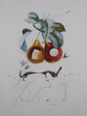 SALVADOR DALI, TROUEES, LES FR