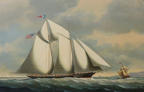 SALVATORE COLACICCO "AMERICA'S