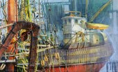 SALVATORE GRASSO GLOUCESTER VE