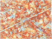 SAM GILLIAM SCREENPRINT(Washin