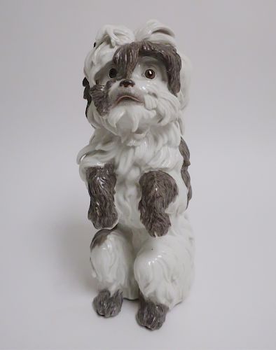 SAMSON BOLOGNESE DOG PORCELAIN