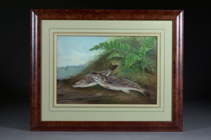 Samuel A. Killbourne (American,