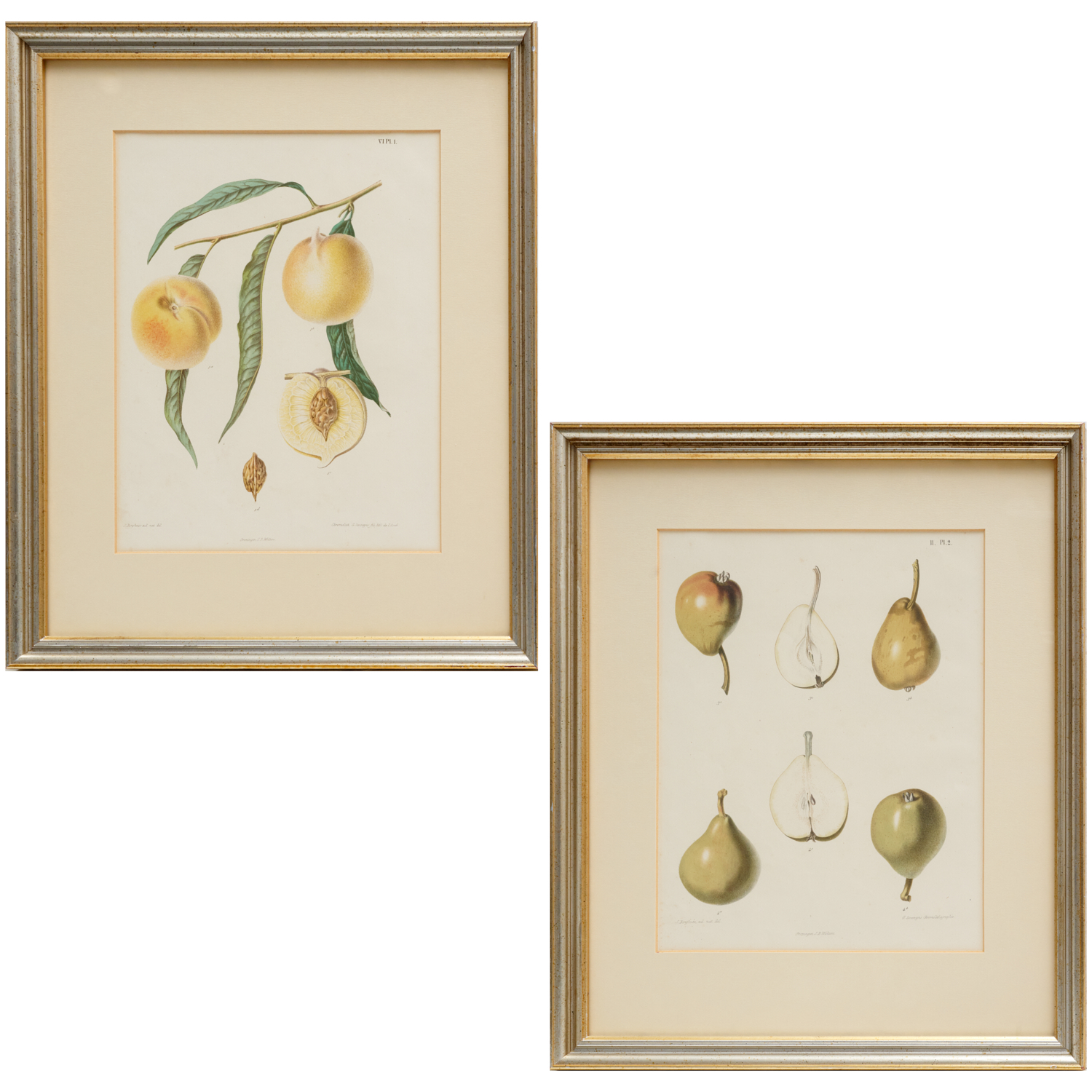 SAMUEL BERGHUIS, PAIR