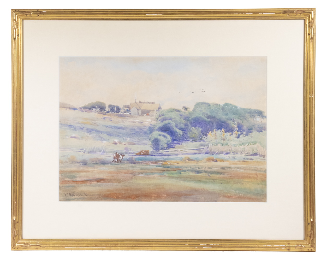 SAMUEL PETER ROLT TRISCOTT