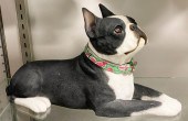 Sandicast dog figure, reclinin