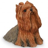 SANDRA BRUE SANDICAST YORKIEDE