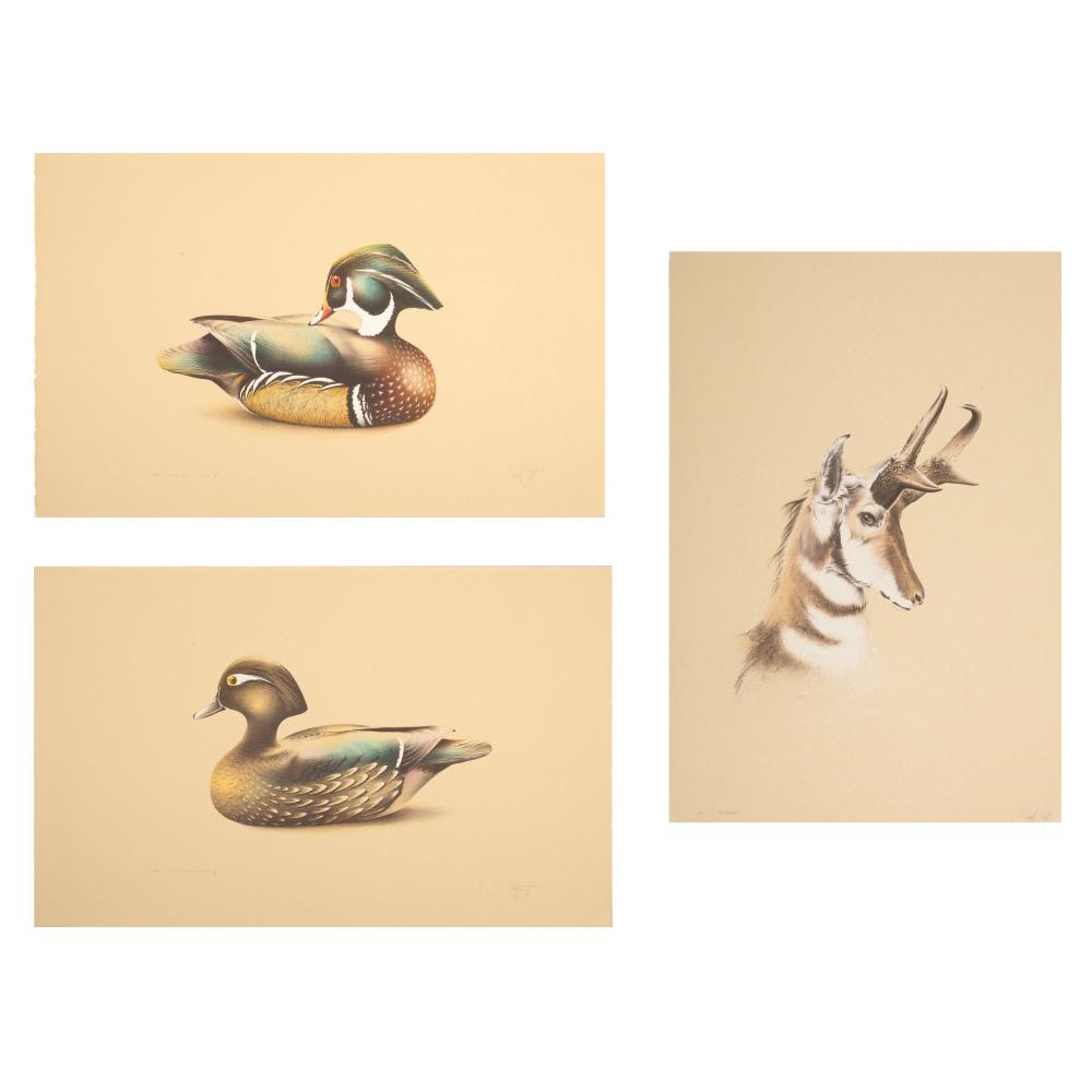SANDY SCOTT, GROUP OF THREE