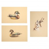 SANDY SCOTT, GROUP OF THREE LI