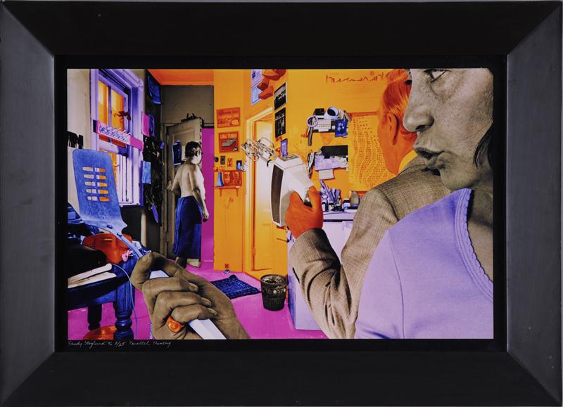 SANDY SKOGLUND (AMERICAN b.