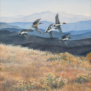 Sarah Woods (American, b. 1956)