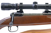 SAVAGE M110 RIFLE, .243 WIN. C