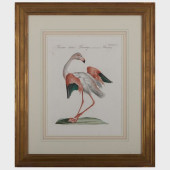 SAVERIO MANETTI (1723-1784): N