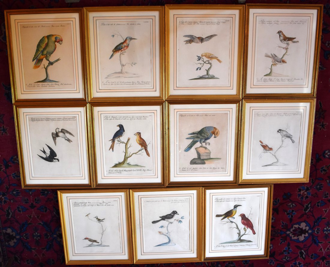 SAVERIO MANETTI, GROUP OF 11 BIRD