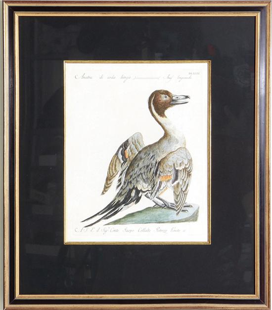 Saverio Manetti (Italian 1723-1784)