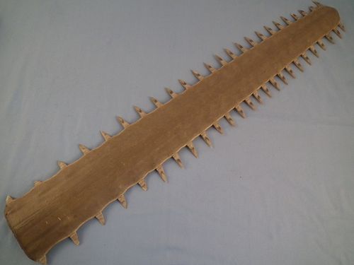 SAW FISH BILLAntique saw fish bill,