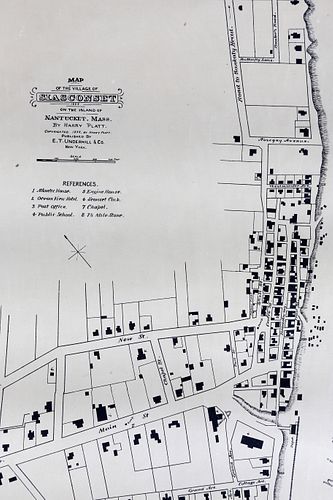 SCARCE 1888 MAP OF THE VILLAGE OF