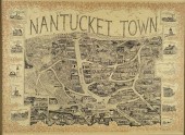 SCARCE 1973 BIRDSEYE VIEW MAP