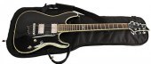 SCHECTER ELECTRIC GUITAR, DIAM