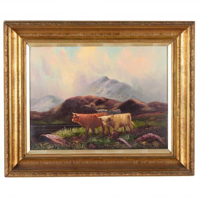 SCOTTISH HIGHLAND CATTLE GRAZING BY