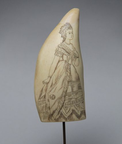 SCRIMSHAW ANTIQUE SPERM WHALE