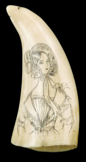 SCRIMSHAW: "AURORA", ENGRAVED