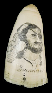 SCRIMSHAW: "BUCCANEER", ENGRAV
