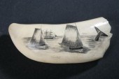 SCRIMSHAW CARVED WHALE'S TOOTH
