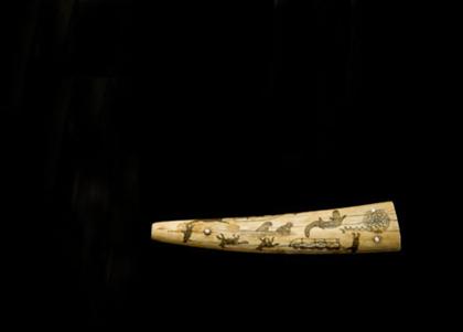 Scrimshaw-decorated walrus tusk