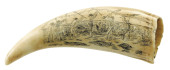 SCRIMSHAW: ENGRAVED WHALE TOOT