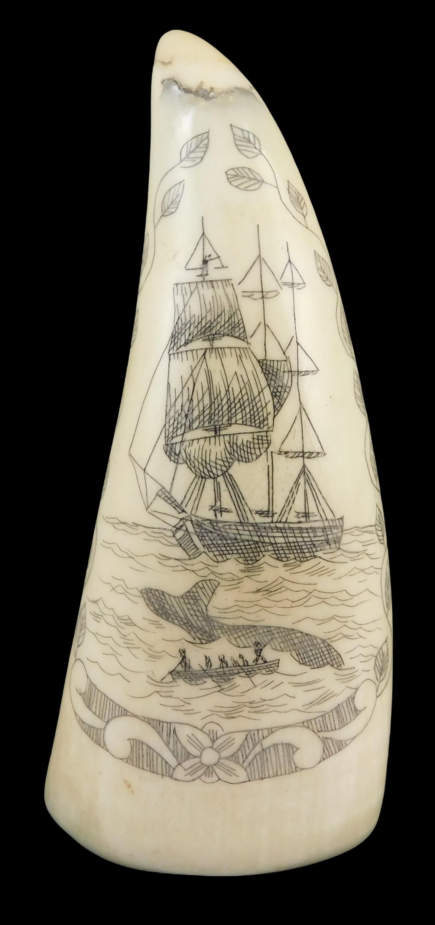 SCRIMSHAW: ENGRAVED WHALE TOOTH