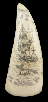 SCRIMSHAW: ENGRAVED WHALE TOOT