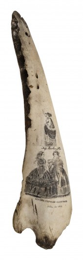 SCRIMSHAW JAW BONE WITH MAGAZI